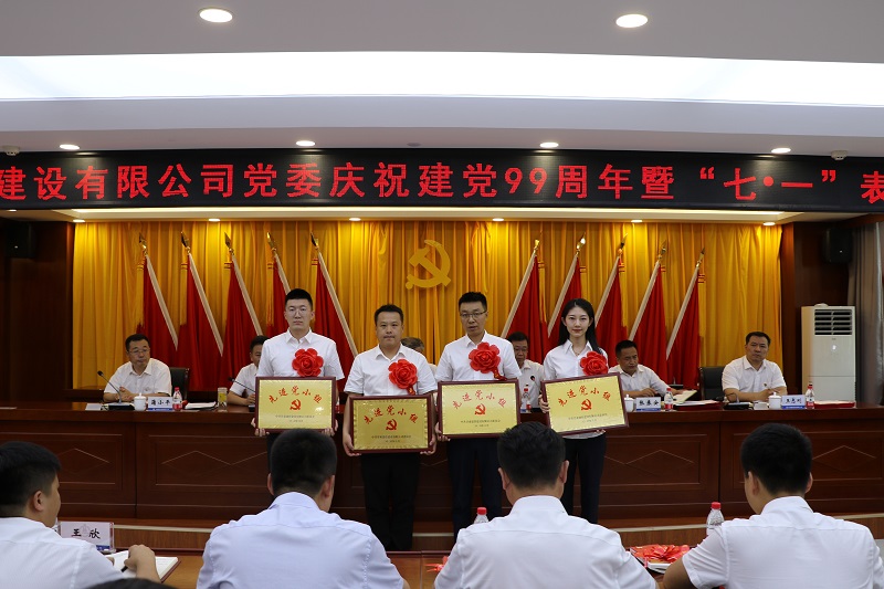 202007011593598288414051.jpg 先進黨小組.JPG