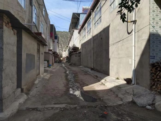 202410241729730777743182.png e94ea00f78131e866d46a2088f9ae5b.png