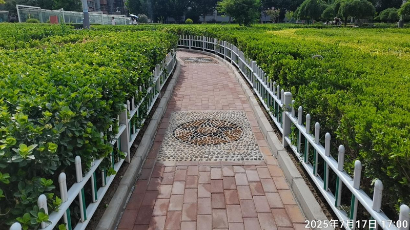 202507221753146218488967.png 照片 (2).png