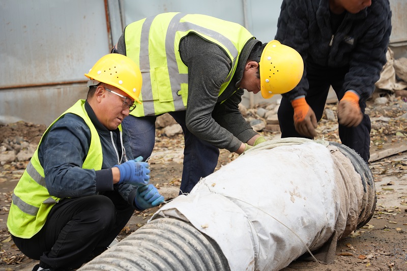 202511111762823525486494.jpg DSC02263.JPG