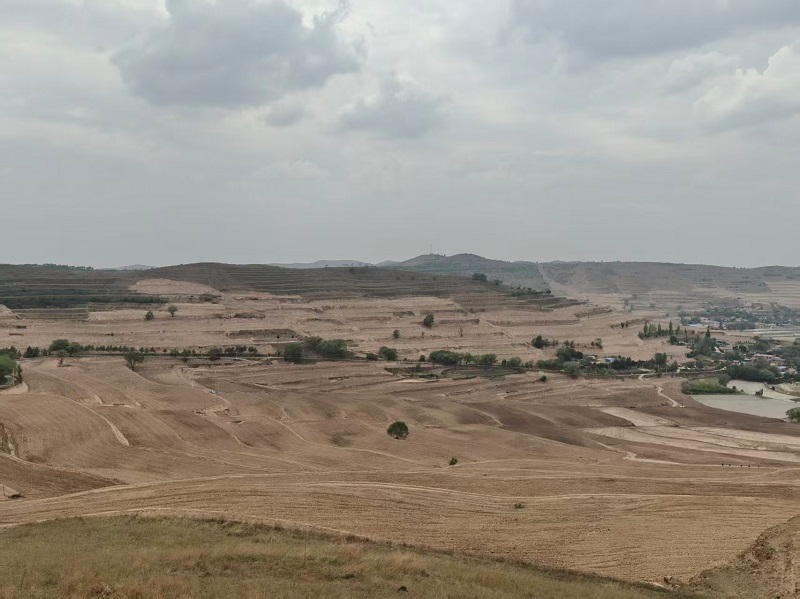 202511121762933238783539.jpg 8f5d6d6eff1a9616e2e98bf5c3dc8a89.JPG